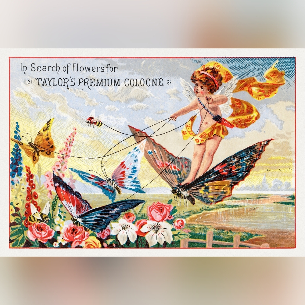 Taylor's Premium Cologne Vintage Art Print